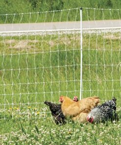 Premier 48" PoultryNet® Electric Fence 12/48/3, 164', Double Spike, White 13 618fHDSbXmL