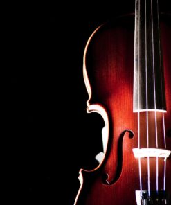 Bunnel Premier Violin Clearance Outfit 4/4 Full Size - Carrying Case and Accessories Included - Solid Maple Wood and Ebony Fittings By Kennedy Violins 4/4 (Full) 52 618iYQrjlPL