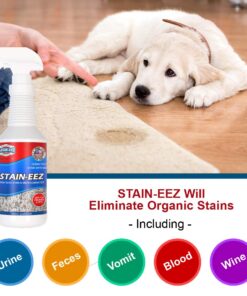 Clean-eez Stain-eez Carpet Cleaner Spray – Pro-Biotics & Enzyme Power for Ultimate Stain & Odor Elimination – Best Pet Carpet Cleaner Single Bottle 16 618pr3znjpL