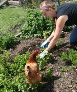 CobraHead® Original Weeder & Cultivator Garden Hand Tool - Forged Steel Blade - Recycled Plastic Handle - Ergonomically Designed for Digging, Edging & Planting - Gardeners Love Our Most Versatile Tool 51 618u5xueFLL 1