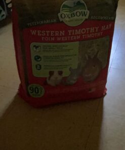 Oxbow Animal Health Western Timothy Hay - All Natural Hay for Rabbits, Guinea Pigs, Chinchillas, Hamsters & Gerbils -Veterinarian Recommended- Grown in the USA-90 oz. 5.62 Pound (Pack of 1) 33 618vhVvlT0L