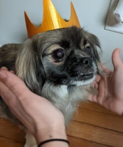 Shiny Silk Gold Silver Copper PLA Filament Bundle, 1.75mm 3D Printer Filament, Each Spool 0.5kg, 3 Spools Pack, with One 3D Printer Remove or Stick Tool MIKA3D 500g X 3 Silk Silver/Copper/Gold 38 618xjBoh95L