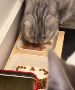 Hill's Pet Nutrition Science Diet Dry Cat Food, Adult, Chicken Recipe, 4 lb. Bag 53 618zgu7xacL