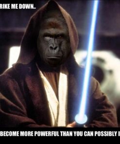 Harambe: Never Forget 1999-2016 Memorial Bumper Sticker & Free Magnetizer. He Died For Our Sins. RIP in Peace You Glorious Gorilla. Honor Our Lord & Savior with a Durable Vinyl Window & Laptop Decal. 9 6193xsBXMwL