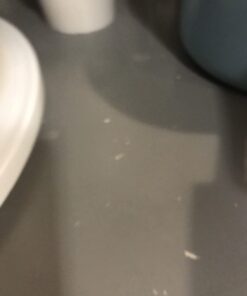 STERILITE Cake Server, 1 pack, White 48 61967eO2aAL