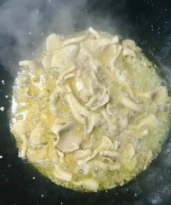 Back to the Roots Organic Oyster Mushroom Grow Kit, Harvest Gourmet Mushrooms In 10 Days 1 Count (Pack of 1) 72 6196QYSFXxL