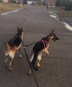 Leashboss Extra Long Double Dog Leash Coupler for Large Dogs - 16-28 Inches - Adjustable 1 Inch Heavy Duty Nylon Leash Splitter for Large Dogs (1 Inch Wide x 16-28 Inches, Black) 16-28 Inch 26 6196X1TvEgL