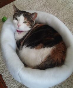 K. T. Manufacturing Mysterious Kuddle Kup Cat Bed, White 30 619Aiy0Eg0L