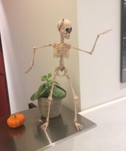 Prextex Skeleton Halloween & Day of The Dead Decoration for Home and Office - 19 Inch Posable Plastic Small Skeleton Toy Halloween Décor with Movable / Bendable Joints and 2 Sets of Body Accessories 19 inches 35 619GWWczcPL 1