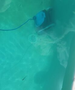 Dolphin Nautilus CC Robotic Pool Vacuum Cleaner — Wall Climbing Capability — Powerful Active Scrubbing Brush — Ideal for Above/In-Ground Pools up to 33 FT in Length 40 619HNb2cpdL