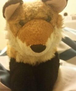 Douglas Roxy Red Fox Plush Stuffed Animal 25 619I9toFKzL
