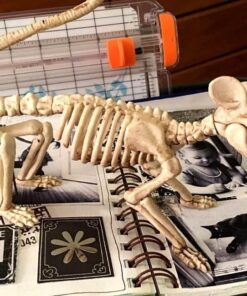 Crazy Bonez Skeleton - Rat Bonez 27 619LAluDL2L