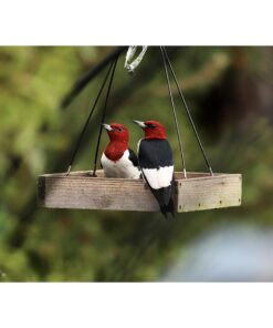 Wild Wings WWCF23 Cedar Tray Bird Feeder 35 619MCVt6RIL