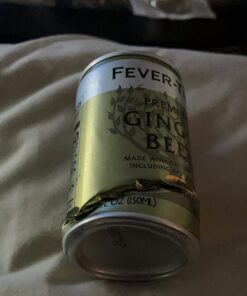 Fever Tree Ginger Beer - Premium Quality Mixer - Refreshing Beverage for Cocktails & Mocktails. Naturally Sourced Ingredients, No Artificial Sweeteners or Colors - 150 ML Cans - Pack of 24 5.07 Fl Oz (Pack of 24) 19 619VKNYZy5L