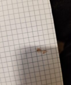 Amazon Basics Quad-Ruled Graph Paper Pad, Pack of 2, 8.5 Inch x 11.75 Inch, White 36 619XaU5gcVL