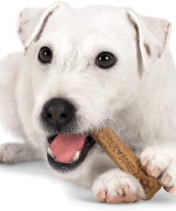 Milk-Bone Brushing Chews Daily Dental Dog Treats, Mini, 56 Count 56 Count (Pack of 1) Daily Dental Treats 14 619fEFRkqFL