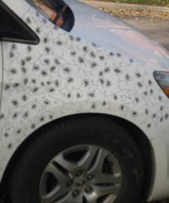 Sharpie Permanent Markers, Fine Point, Black, 12 Count 47 619g671GWwL