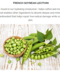 Pistaché Skincare Pistachio Oil Face Moisturizer + Hydrates and Nourishes + Vitamin E + Antioxidant Protection + Face, Neck and Chest, 1.7 oz 1 Count (Pack of 1) 14 619hE1Lp1nL