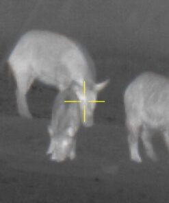 ATN Thor 4 Thermal Scope w/Video rec in HD, Smooth Zoom, Bluetooth and Wi-Fi (Streaming, Gallery & Controls) 640x480, 4-40x 20 619nSRt1IdL