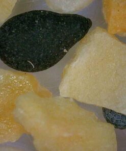 Jiusion WiFi USB Digital Handheld Microscope, 50 to 1000x Wireless Magnification Endoscope 8 LED Mini Camera with Metal Stand Compatible with iPhone iPad Mac Windows Android 50 619z1ujw 4L