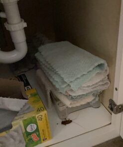 Combat Roach Killing Bait, Roach Bait Station For Large Roaches, Kills The Nest, Child-Resistant, 8 Count,Insects 37 61A TWv19CL