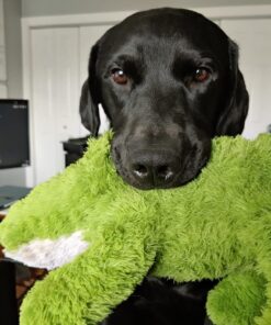 KONG Cozie Ali Alligator XL X-Large Standard Packaging 26 61A1Lq5ovDL