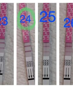 Pregmate 40 Ovulation and 10 Pregnancy Test Strips Predictor Kit 50 Piece Set 54 61A7OHXVM L