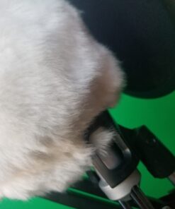 Dragonpad USA Microphone Pop Filter, for Blue Yeti, Blue Snowball - Flexible Gooseneck Microphone Mount and Double Layer Sound Shield Guard Windscreen black 57 61A9Sq18tL