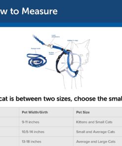 PetSafe Come With Me Kitty Harness and Bungee Leash, Harness for Cats, Large, Royal Blue/Navy 25 61ABrec5vfL