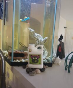 Advanced Nutrients GL525050-12 Big Bud Liquid Fertilizer, 250 mL.250 Liter, Brown/A .250 Liter 18 61AM5djJfnL