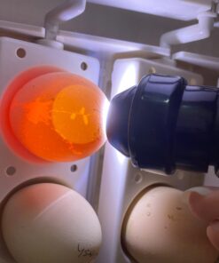 HBlife Bright Cool LED Light Egg Candler Tester for Watching Eggs Development, with 2 Soft Rubber Attachments for Eggs, Powered by Power Cord Only 24 61AOzeolEbL