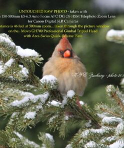 Stunning Digital Photography 27 61AP0jl9FeL