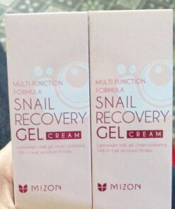 MIZON Snail Line Gift Set, Skincare Set, Set of Two Snail Recovery Gel Cream, Wrinkle Care, Skin Elasticity, Moisture, Fragrance-Free, Paraben-Free (45ml 1.52 fl.oz -Pack of 2) 2 Count (Pack of 1) 52 61AQFoiTUEL
