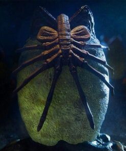 Celestron – PentaView LCD Digital Microscope– Biological Microscope with a Built-in 5MP Digital Camera – Adjustable Mechanical Stage –Carrying Case and 4GB Micro SD Card 44348 (PentaView) 15 61ARmDADv2L