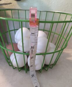 Ware Manufacturing Chicken Egg Basket 1 A 15 61AUFUnLzoL