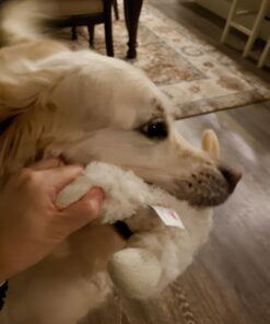 Multipet Plush Dog Toy, Lambchop, 10", White/Tan, Small 10" 38 61AXwIQIijL