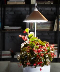 Smarson Indoor LED Light Hydroponic Garden, Grow Herbs, Vegetables and Flowers, Large, White 11 61AYQT1jkpL