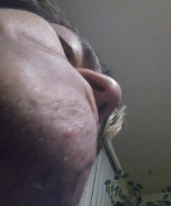 Goats in Trees 2018 12 x 12 Inch Monthly Square Wall Calendar, Best Calendar Funny Farm Animals (English, French and Spanish Edition) 13 61AhIxq3gyL