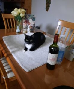 Hill's Pet Nutrition Science Diet Dry Cat Food, Adult, Chicken Recipe, 4 lb. Bag 41 61AiEyK5SDL