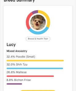 Embark Breed & Health Kit - Dog DNA Test - Discover Breed, Ancestry, Relative Finder, Genetic Health, Traits, COI 1 Count (Pack of 1) 42 61Akqb0kDXL 3