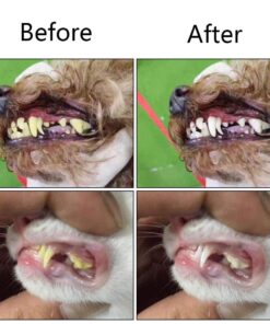 Orgrimmar 2 Pcs Three Sided Pet Toothbrush Dog Brush Addition Bad Breath Tartar Teeth Care Dog Cat Cleaning Mouth 16 61AmowmNHOL