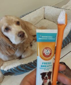 Arm & Hammer for Pets Fresh Breath Kit for Dogs | Contains Toothpaste, Toothbrush & Fingerbrush | Reduces Plaque & Tartar Buildup | Safe for Puppies, 3-Piece Kit, Chicken Flavor Dogs - Chicken Flavor 2.5 Oz (Pack of 1) 27 61AnsfbgduL