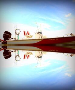 STAR BRITE EZ-ON EZ-Off Boat Hull & Bottom Cleaner - Remove Marine Deposits & Scum Line Quickly & Easily 32 Ounce 19 61Ao0opck5L