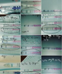 Pregmate 40 Ovulation and 10 Pregnancy Test Strips Predictor Kit 50 Piece Set 43 61AxwQfvheL