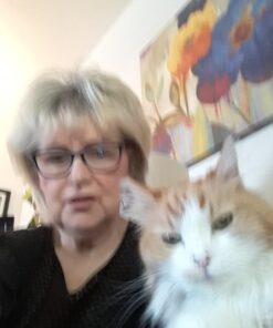 TEMPTATIONS Classic Crunchy and Soft Cat Treats Feline Favorite Variety Pack, 3 oz. Pouches,4 Count 4 Count (Pack of 1) 38 61AymnkveJL