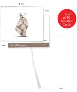 The Best Card Company - 10 Blank Yoga Note Cards (4x 5.12 Inch) - Boxed Notecards with Envelopes, Cute Animal Cards, Zen Assortment - Zoo Yoga M6547OCB 8 61B8AQYer5L