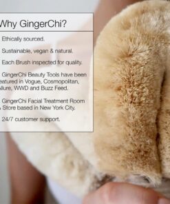 Ginger Chi Dry Brush for Skin, Dry Brushes for Body - Natural Bristle Brush for Dry Brushing Skin (Sisal Dry Brush) 19 61B9yi U0OL