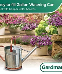 Gardman 8326 Galvanized Steel Watering Can with Copper Accents, 1-Gallon 15 61BPmL1fFRL