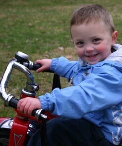 Schwinn Roadster Bike for Toddler, Kids Classic Tricycle, Low Positioned Steel Trike Frame with Bell and Handlebar Tassels, Rear Deck Made of Genuine Wood, for Boys and Girls Ages 2-4 Year Old, Red 39 61BmuephaiL