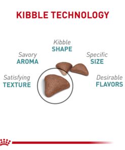 Royal Canin Feline Care Nutrition Hairball Care Dry Cat Food, 3 lb bag 3 Pound (Pack of 1) 22 61Bp3bthZVL 1